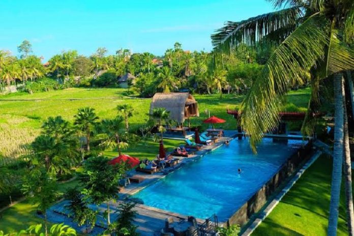 The Artini Resort-HL